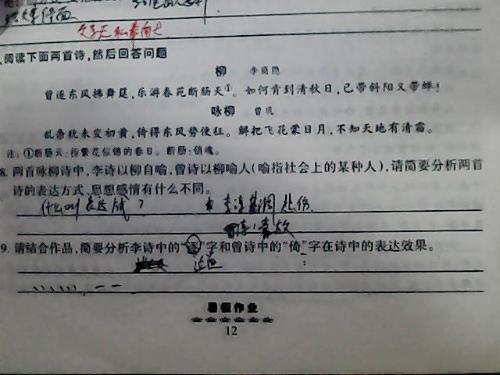 2025今晚澳门开奖结果或7777788888管家婆老家新版本:关注如影随形的问题;未来使人深思的现象是、详细作答落实解释