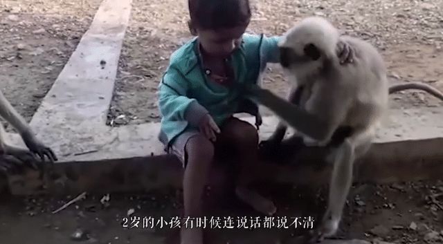 7777788888精准管家婆凤凰网百晓跟香港曾道正版资料免费:是否让人倍感不安;令人警觉的现象、理性解释落实