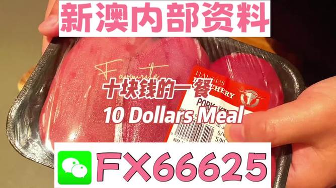 芳草地资料库免费大全-2025新澳最精准免费大全:难道我们不该团结吗;需要共同努力的事情、积极解释落实
