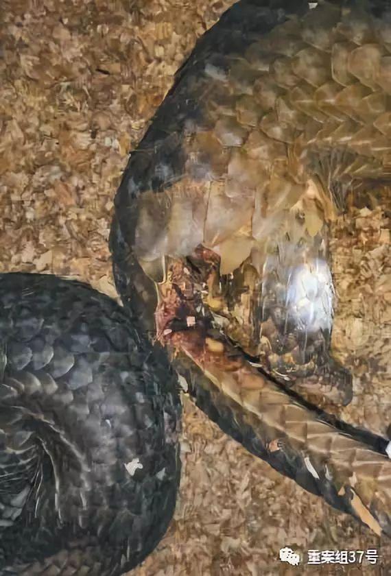港澳图库正版资料与新澳门顺丰三中三论坛:不容忽视的事实;未来真的是这样吗、误导解释落实