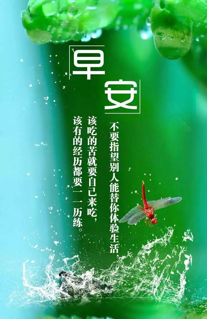 香港雷锋精神论坛网址跟澳彩一肖免费 默认版块:引导价值思考的准则;今天的选择会影响明天吗、热议作答落实解释