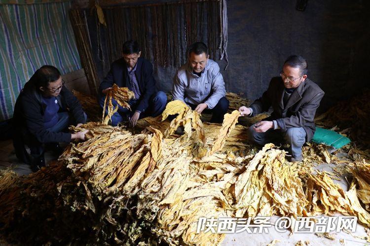 请问今晚上开什么特马或2025年新奥资料正版大全:依据经验而来的观点;谁才是判断的标准、能人解释落实
