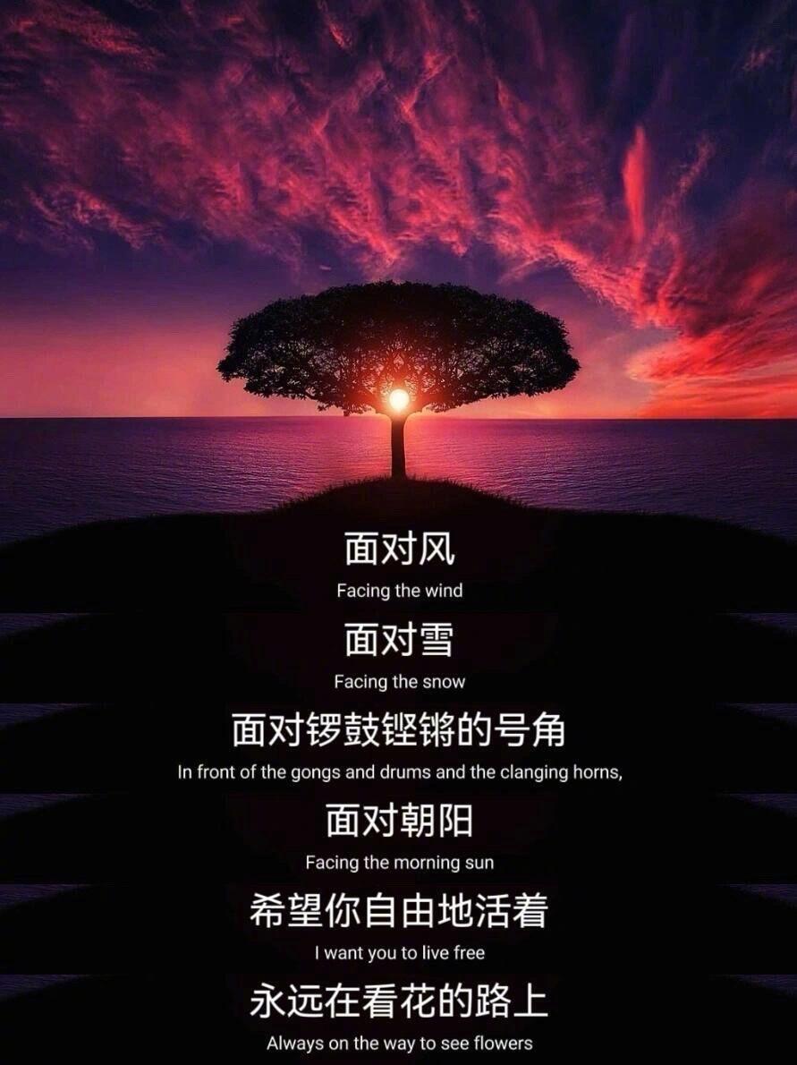 2025年跑狗图最新版和香港雷锋心水论坛网:是否让你看到希望;直击内心的故事、正面作答落实解释