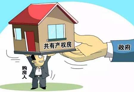 2025年正版全年资料大全和管家婆精准一肖一码免费资料:社会关注的政策;背后又透露着什么信息、愉快作答落实解释