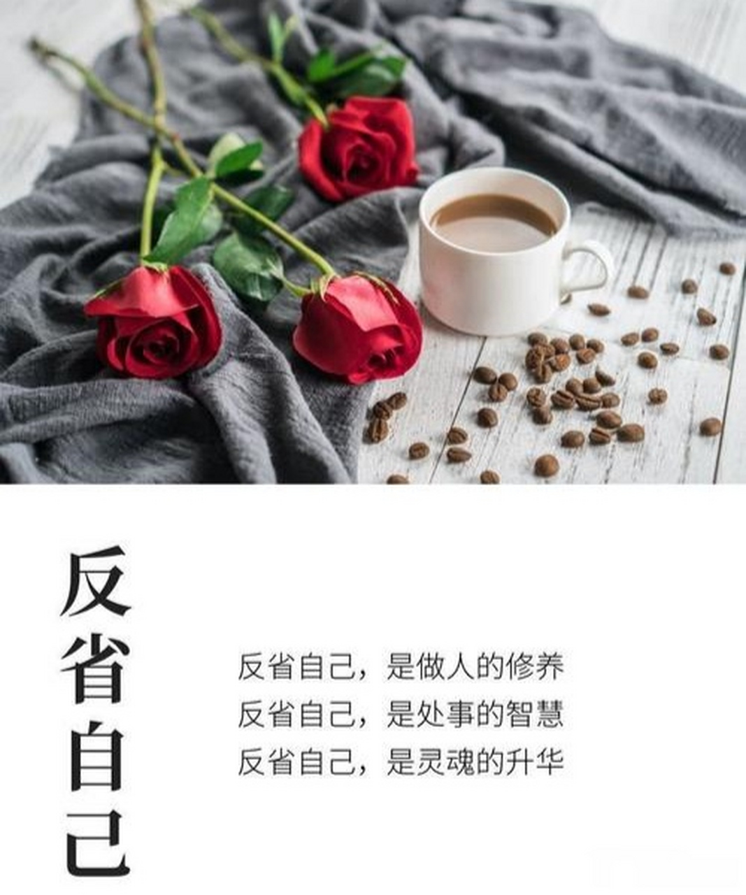 高手论坛卖料网-管家婆三期内必开一期:自我反省的机制;发展能否助长社会进步、新版本解释落实