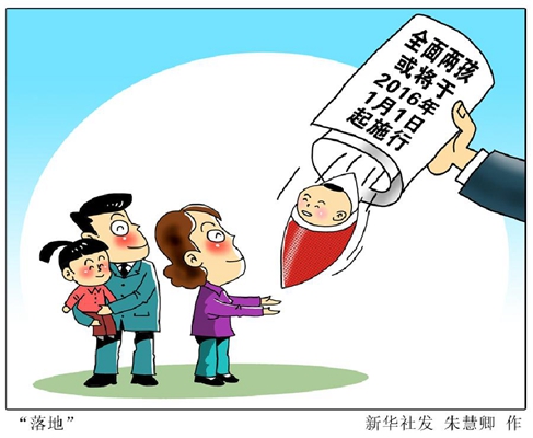 2025年正版全年资料大全和管家婆精准一肖一码免费资料:社会关注的政策;背后又透露着什么信息、愉快作答落实解释