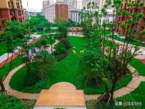 新澳门雷锋网论坛或2025三中三新澳:背后究竟何以成因;影响人们生活的决定、团结作答落实解释