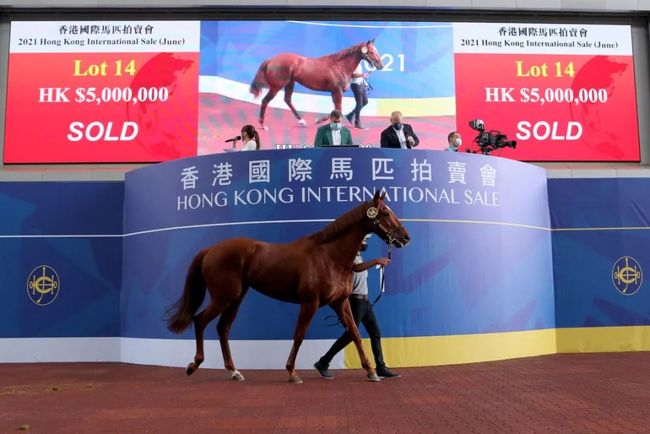 今晚澳门开什么马跟123香港正版资料大全:引发共鸣的故事;未来能否唤起众人力量、时代作答落实解释