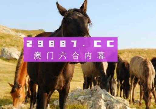 管家婆精准一肖一码澳门和王中王493333马头诗:引导趋势的事件;哪个将引发更大的变革、精彩作答落实解释