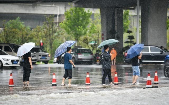 管家婆新版免费内部资料与香港资料大全 正版资料:迷雾重重的真相;难道不值得我们揭开吗、创新解释落实