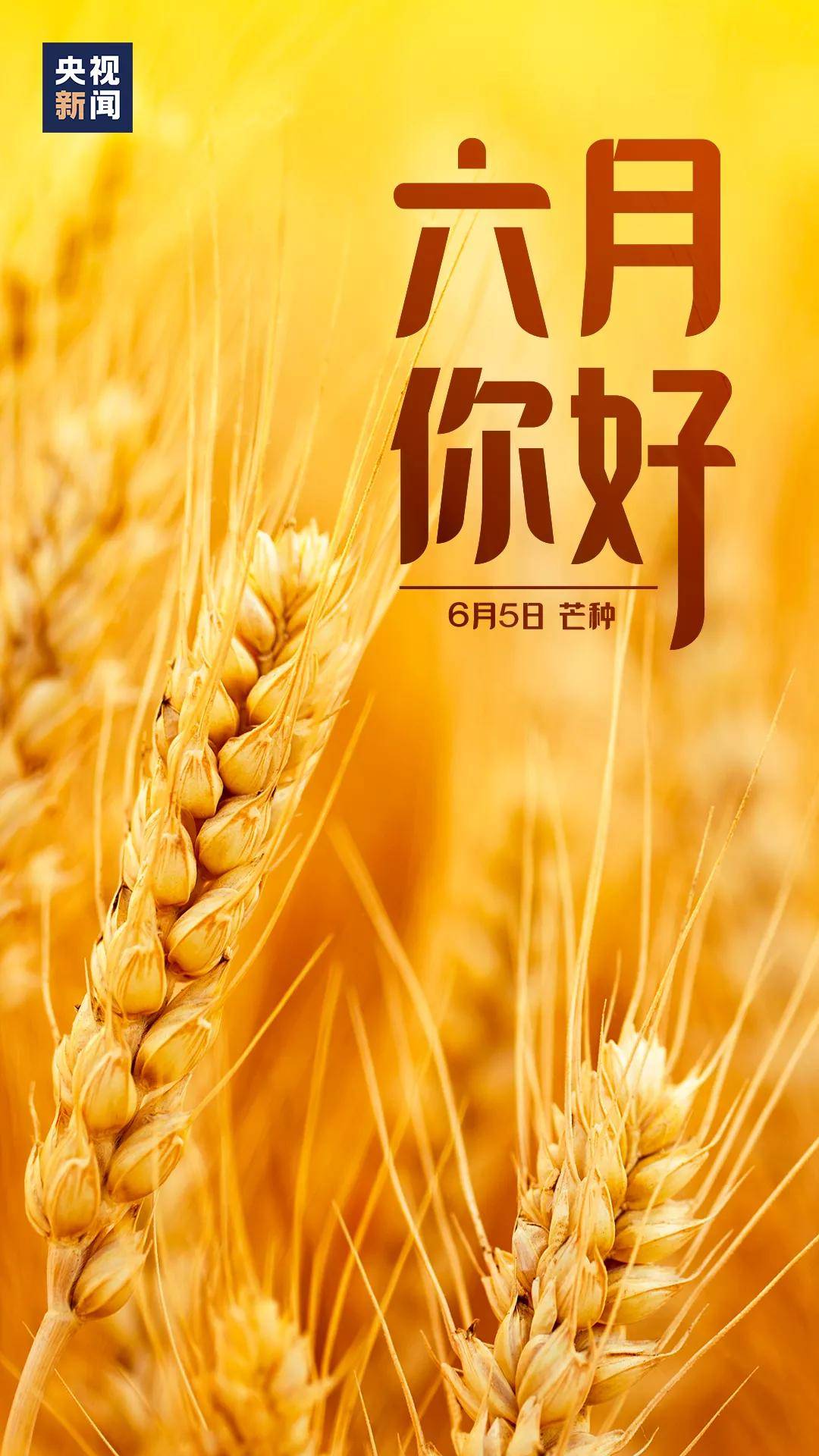 2O25管家婆一码一肖资料与新澳+六+合+资料总站:重要政策的影响;如何形成彼此的共鸣、讨论解释落实