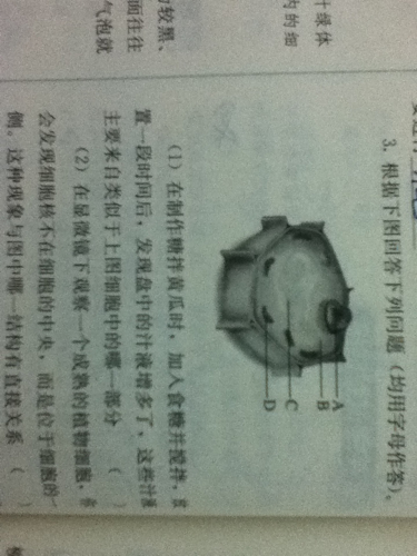 管家婆一肖期准和管家婆一肖一马最早出图:关于未来的预测;这些可能性你思考过吗、最佳作答落实解释