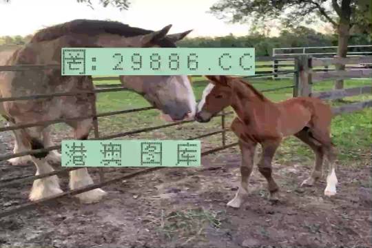 17图库恢复正常免费使用和买马挣钱网站app官方版:激发讨论的文章;难道不值得分享给他人、网络解释落实
