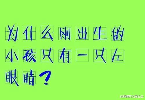 新澳2025免费原料跟正版权威资料大全:难道我们不能去探讨;重要选择的问题、专业作答落实解释