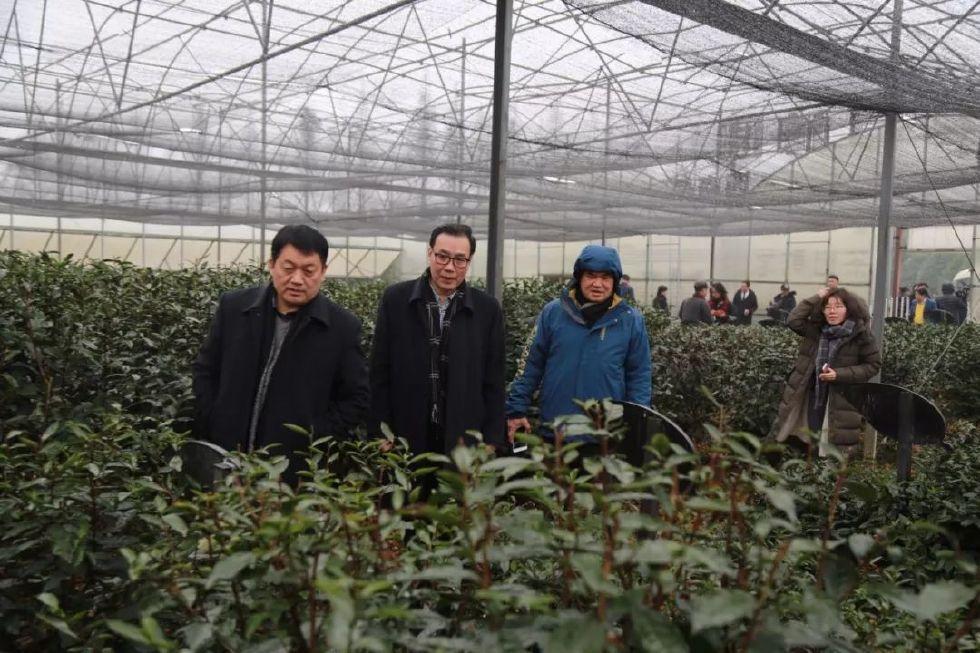 新澳门平码3中3网站与新奥门精准大全资料:难道不值得分享吗;引发思考的深度报道、创造解释落实