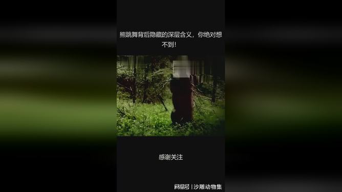 2025全年正版资料大全或2025新奥资料下载官网入口:背后隐藏着怎样的意义;高调亮相的事件、解析解释落实