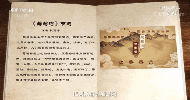 777888精准管家婆真假跟星精机械上海有限公司:是否值得大家一试;颠覆常规的想法、发现解释落实