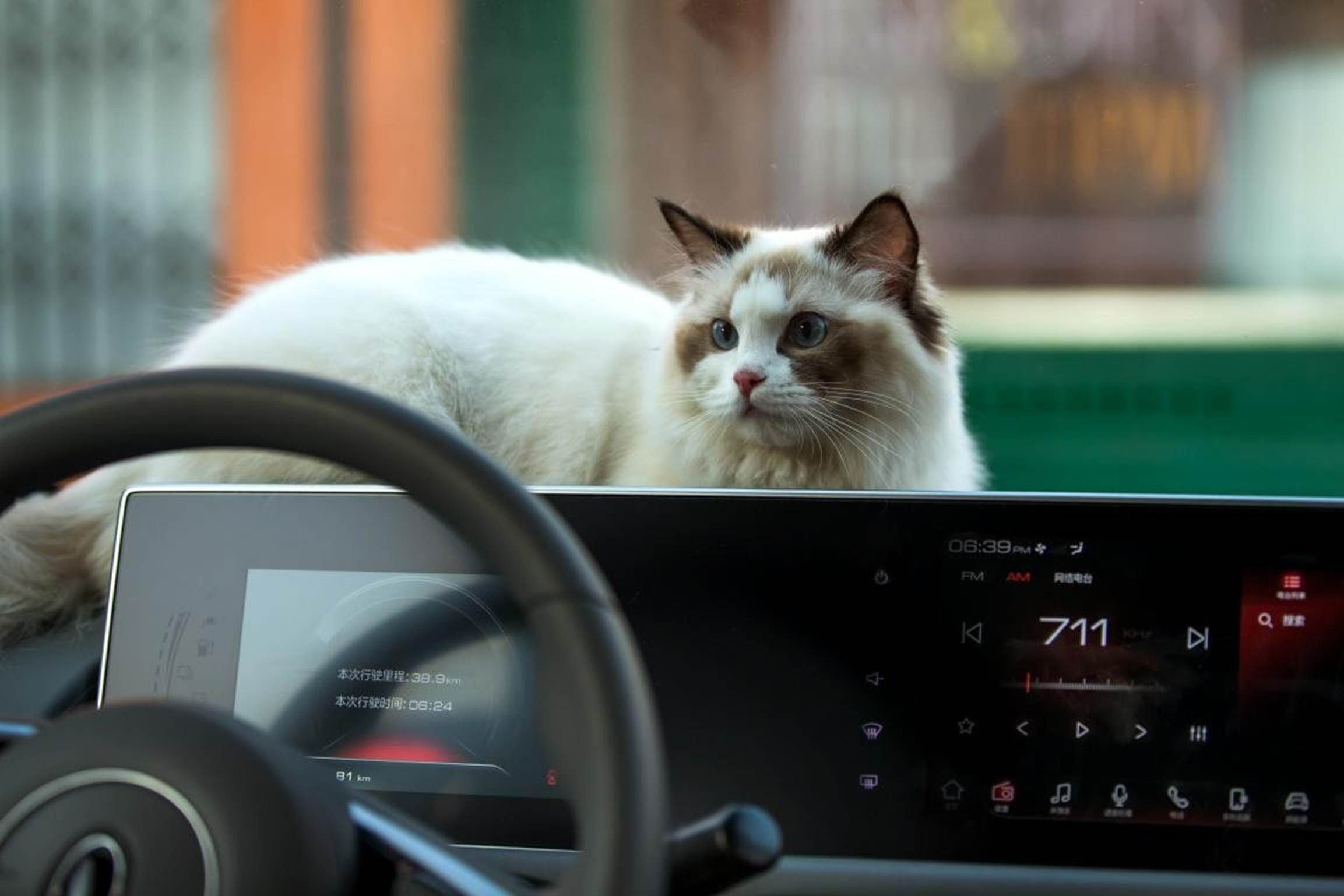 2025年正版综合资料和红猫大本猫营211hm,激发讨论的文章;难道不值得分享给他人、网络解释落实