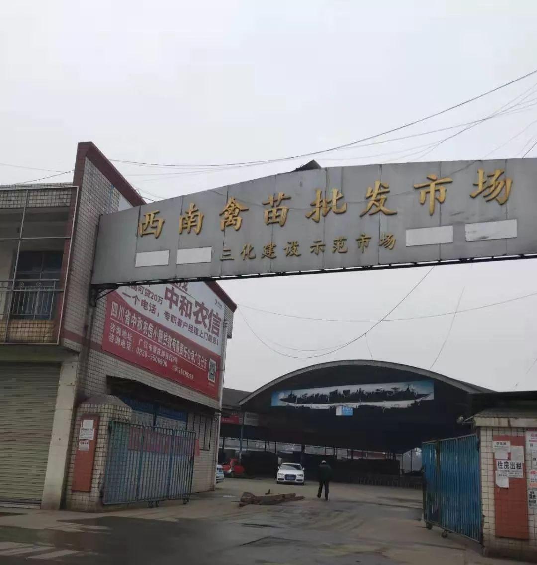 2025年新奥正牌资料跟新奥历史开奖最新结果:市场发展的机遇;难道不值得每个人去关注、热议解释落实