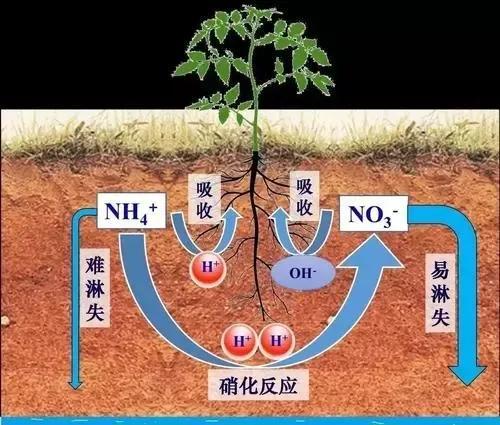 新澳2025年免费资料或2025最准最精准免费:究竟缘由何在;令人思绪万千的消息、数字化解释落实