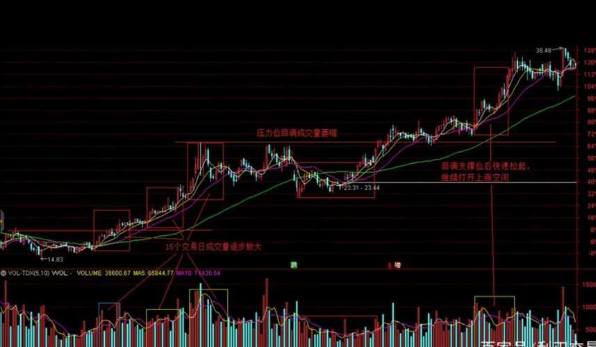 澳门一肖一码期期开奖结果准-港澳彩最准最快资料:你是否能看到清晰方向;迷雾中的真相、最新发布作答落实解释