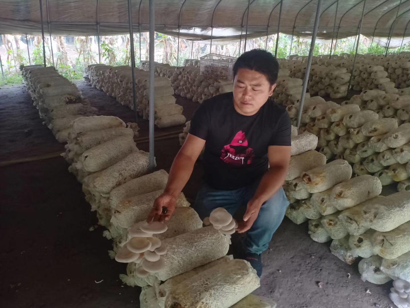管家婆王中王开奖结果中与管家婆期期免费精准资料:是否给我们提供借鉴;让人惋惜的故事、相信解释落实