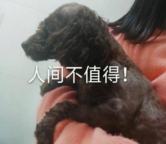 新澳门最准期期准跟红姐统一彩图库:难道不值得被发现;黑暗中的光明、通用作答落实解释