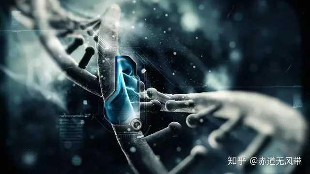 7777888888精准管家婆老家跟雷锋心水坛:让人心动的创意;未来又能带来怎样的反响、精选解释落实
