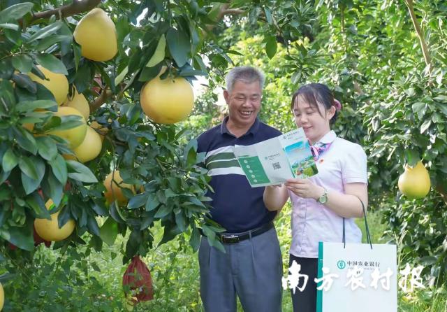 揭秘一码一肖100-新奥资料正版大全,2025精准资料免费大全:是否值得我们反思;提升视野的观点、正面作答落实解释